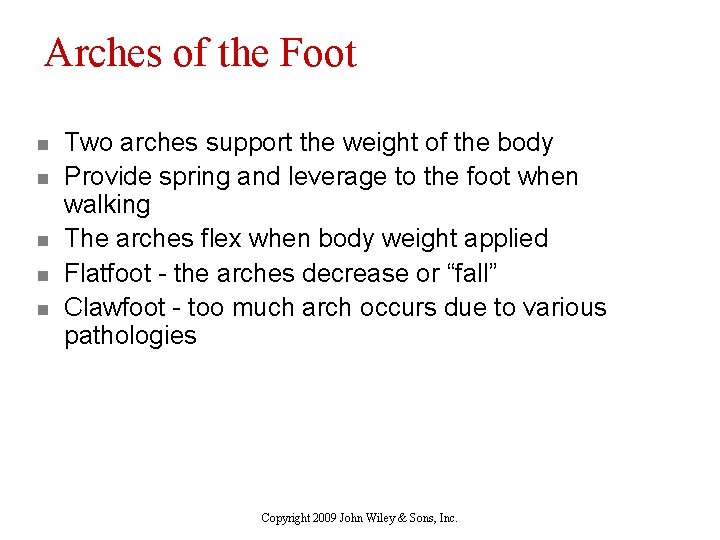 Arches of the Foot n n n Two arches support the weight of the