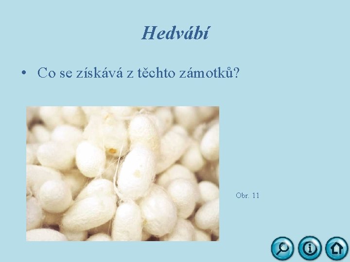 Hedvábí • Co se získává z těchto zámotků? Obr. 11 