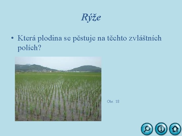 Rýže • Která plodina se pěstuje na těchto zvláštních polích? Obr. 18 