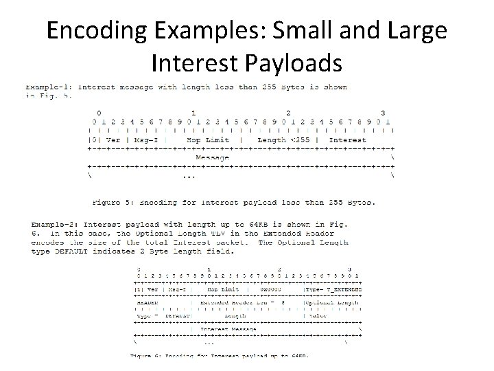 Encoding Examples: Small and Large Interest Payloads 
