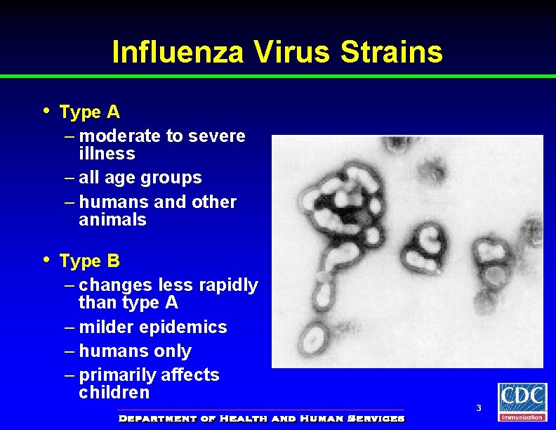 Influenza Virus Strains • Type A – moderate to severe illness – all age
