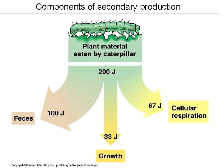 Components of secondary production 