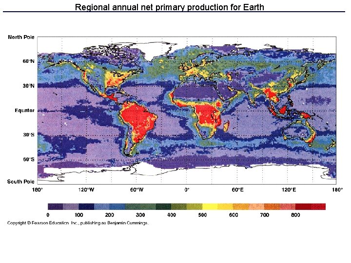 Regional annual net primary production for Earth 