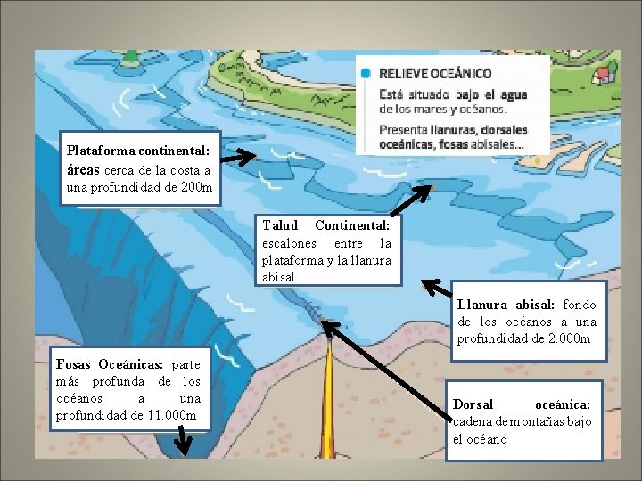 Plataforma continental: áreas cerca de la costa a una profundidad de 200 m Talud