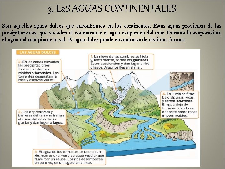 3. La. S AGUAS CONTINENTALES Son aquellas aguas dulces que encontramos en los continentes.