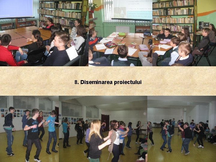 8. Diseminarea proiectului 