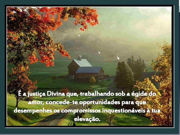 É a justiça Divina que, trabalhando sob a égide do amor, concede-te oportunidades para