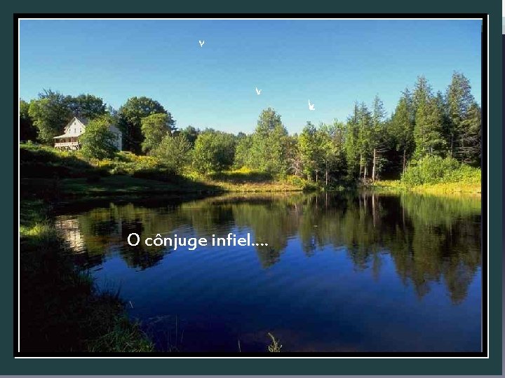 O cônjuge infiel. . 