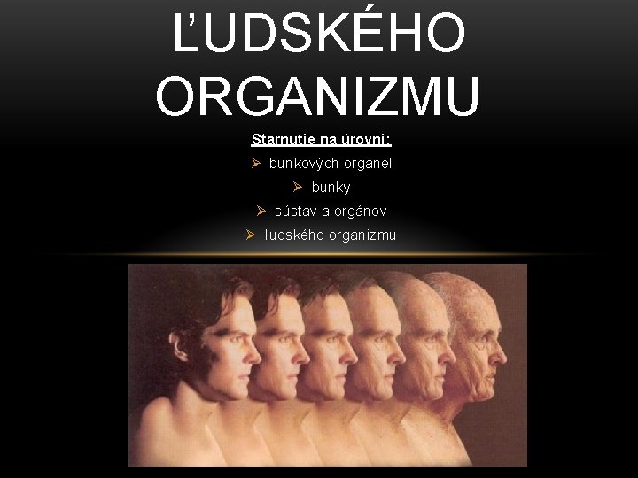 ĽUDSKÉHO ORGANIZMU Starnutie na úrovni: Ø bunkových organel Ø bunky Ø sústav a orgánov