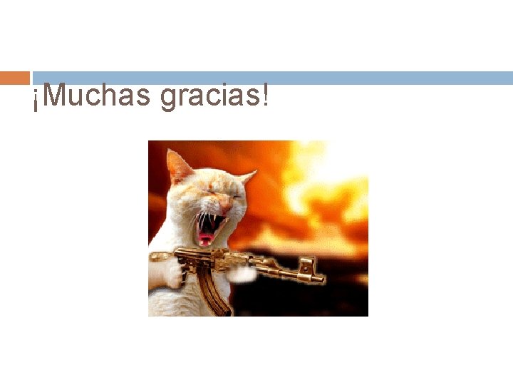 ¡Muchas gracias! 