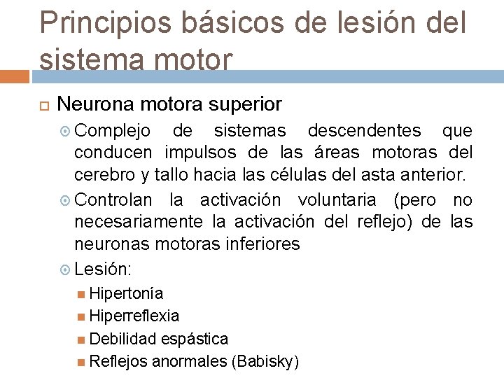 Principios básicos de lesión del sistema motor Neurona motora superior Complejo de sistemas descendentes