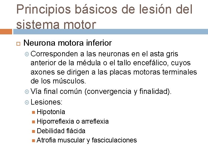 Principios básicos de lesión del sistema motor Neurona motora inferior Corresponden a las neuronas