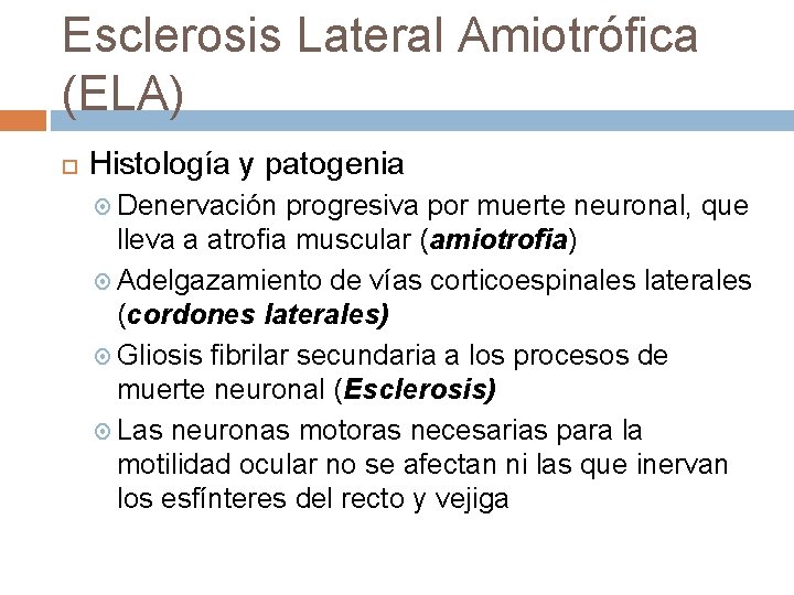 Esclerosis Lateral Amiotrófica (ELA) Histología y patogenia Denervación progresiva por muerte neuronal, que lleva