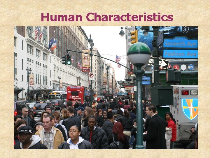 Human Characteristics 