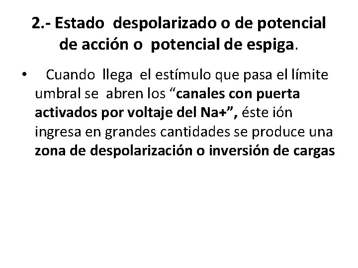 2. - Estado despolarizado o de potencial de acción o potencial de espiga. •