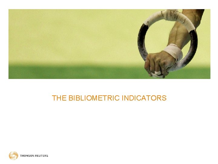 THE BIBLIOMETRIC INDICATORS 