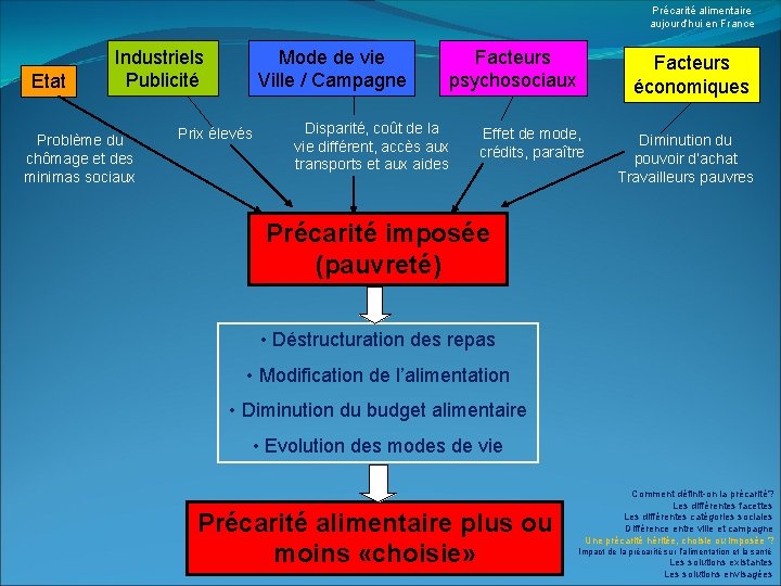 Précarité alimentaire aujourd’hui en France Etat Industriels Publicité Problème du chômage et des minimas