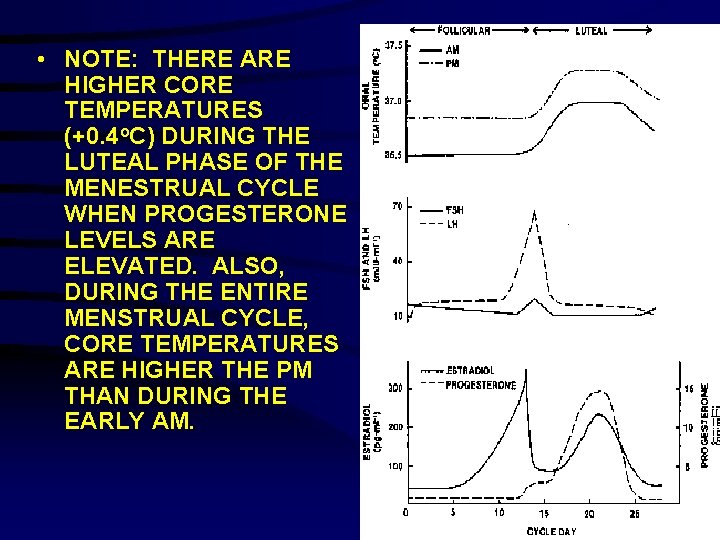  • NOTE: THERE ARE HIGHER CORE TEMPERATURES (+0. 4 o. C) DURING THE