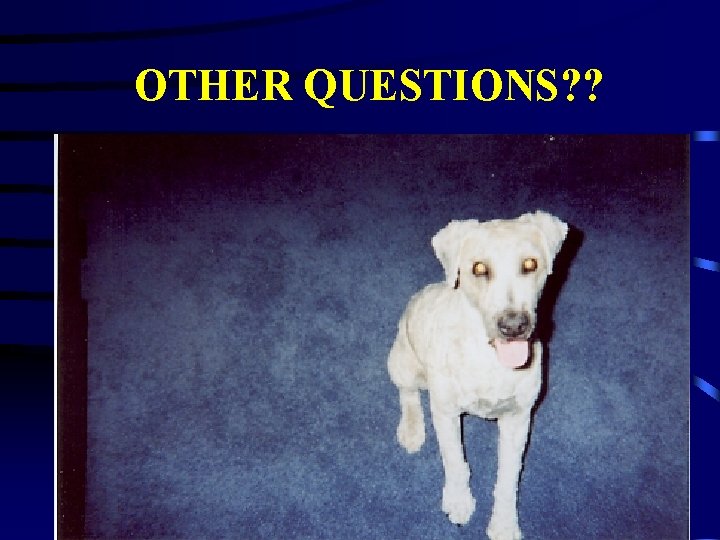 OTHER QUESTIONS? ? 