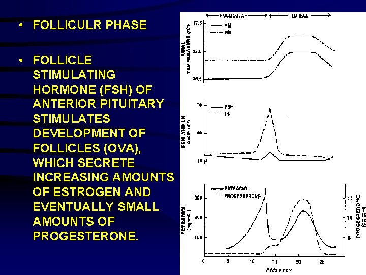  • FOLLICULR PHASE • FOLLICLE STIMULATING HORMONE (FSH) OF ANTERIOR PITUITARY STIMULATES DEVELOPMENT