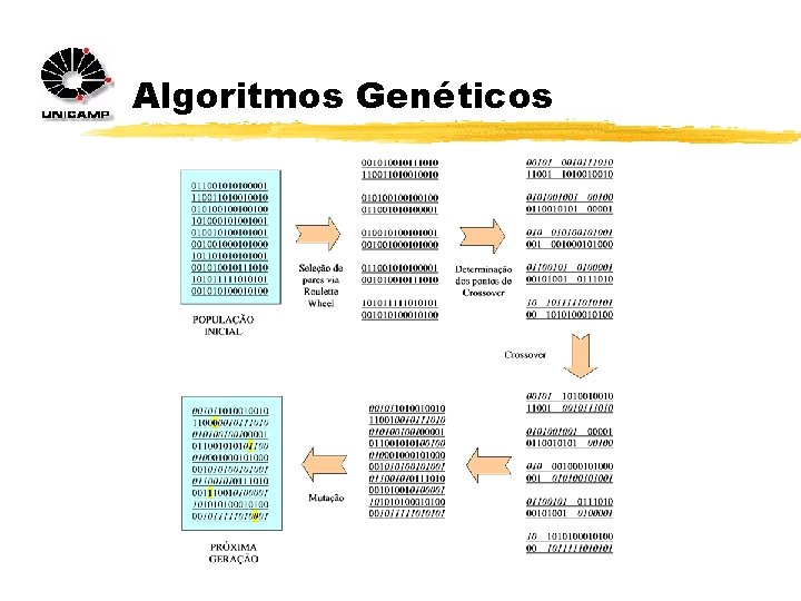 Algoritmos Genéticos 
