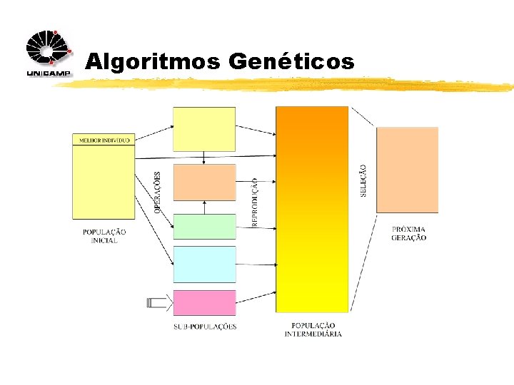 Algoritmos Genéticos 