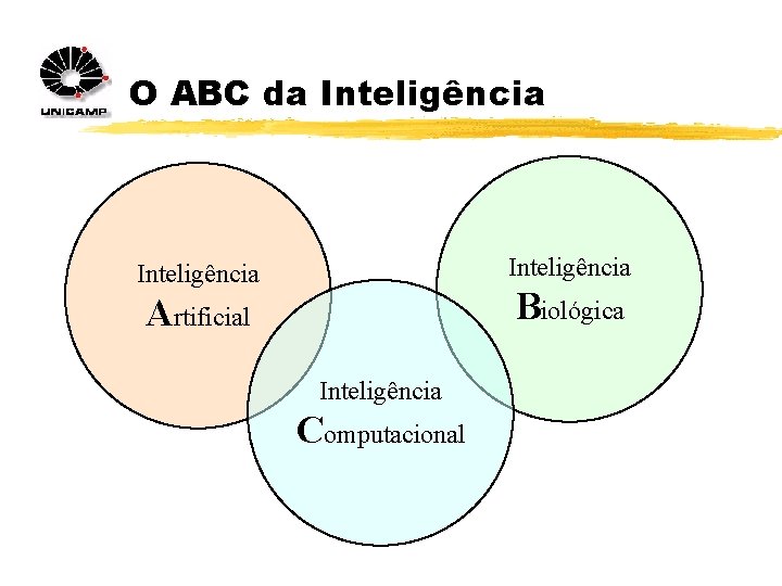 O ABC da Inteligência Biológica Artificial Inteligência Computacional 