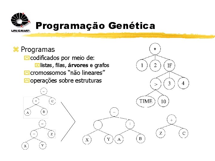 Programação Genética z Programas y codificados por meio de: xlistas, filas, árvores e grafos
