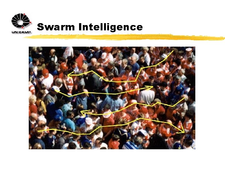 Swarm Intelligence 