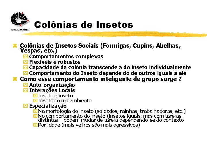 Colônias de Insetos z Colônias de Insetos Sociais (Formigas, Cupins, Abelhas, Vespas, etc. )
