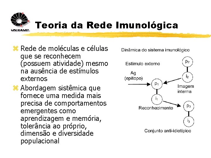 Teoria da Rede Imunológica z Rede de moléculas e células que se reconhecem (possuem