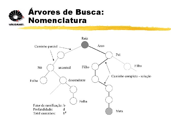 Árvores de Busca: Nomenclatura 