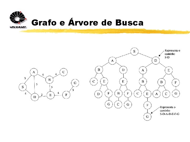 Grafo e Árvore de Busca 