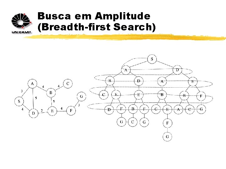 Busca em Amplitude (Breadth-first Search) 