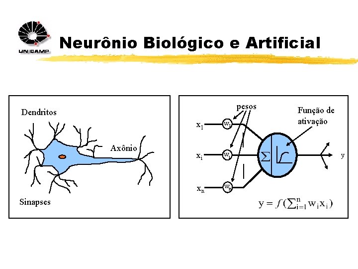 Neurônio Biológico e Artificial pesos Dendritos Axônio Sinapses x 1 w 1 xi wi