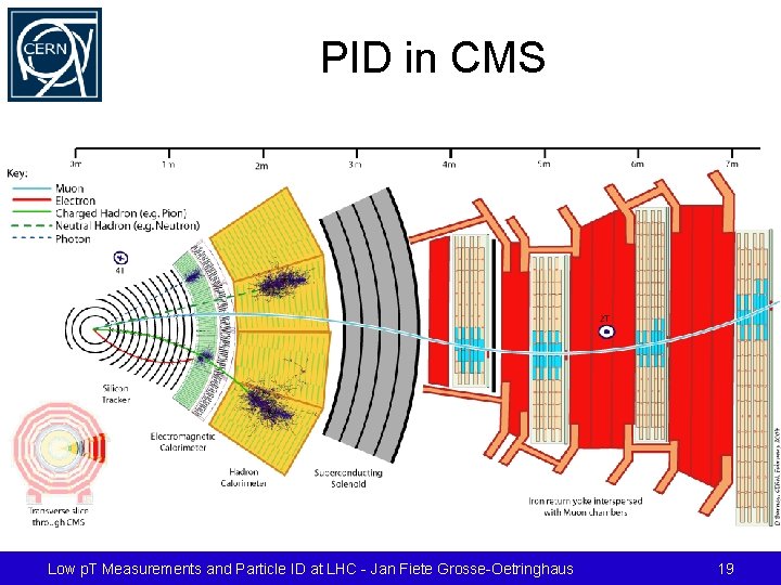 PID in CMS Low p. T Measurements and Particle ID at LHC - Jan