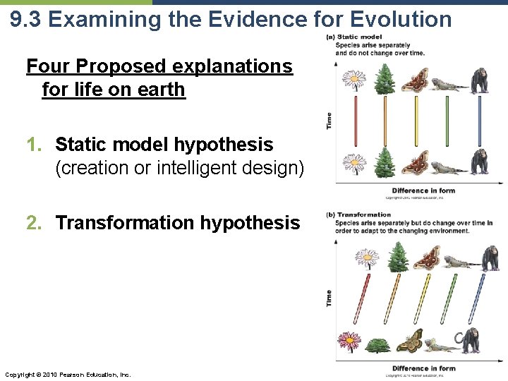 9. 3 Examining the Evidence for Evolution Four Proposed explanations for life on earth