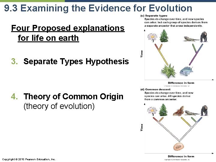 9. 3 Examining the Evidence for Evolution Four Proposed explanations for life on earth