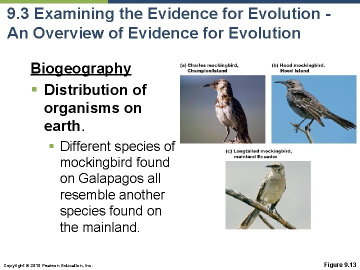 9. 3 Examining the Evidence for Evolution An Overview of Evidence for Evolution Biogeography