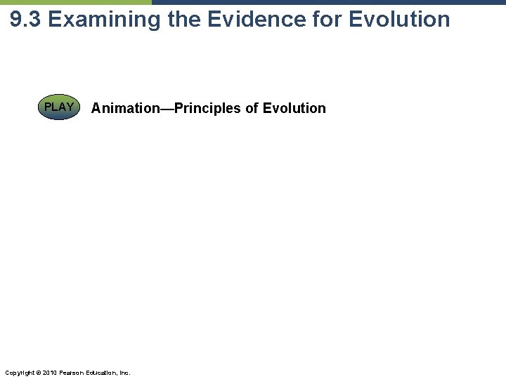 9. 3 Examining the Evidence for Evolution PLAY Animation—Principles of Evolution Copyright © 2010