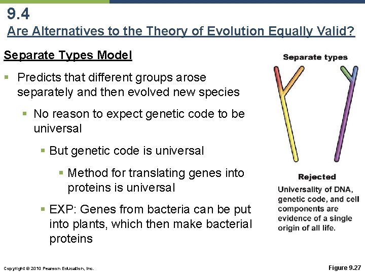 9. 4 Are Alternatives to the Theory of Evolution Equally Valid? Separate Types Model
