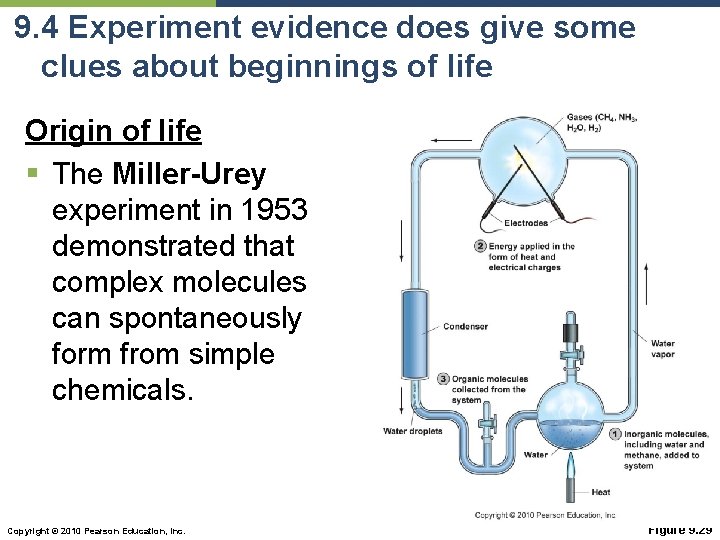 9. 4 Experiment evidence does give some clues about beginnings of life Origin of