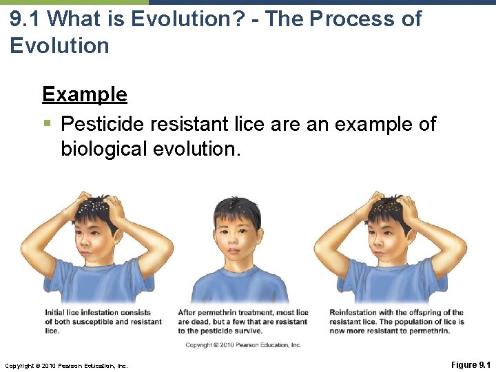 9. 1 What is Evolution? - The Process of Evolution Example § Pesticide resistant