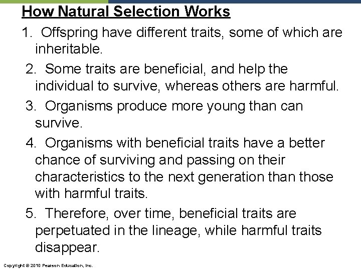 How Natural Selection Works 1. Offspring have different traits, some of which are inheritable.