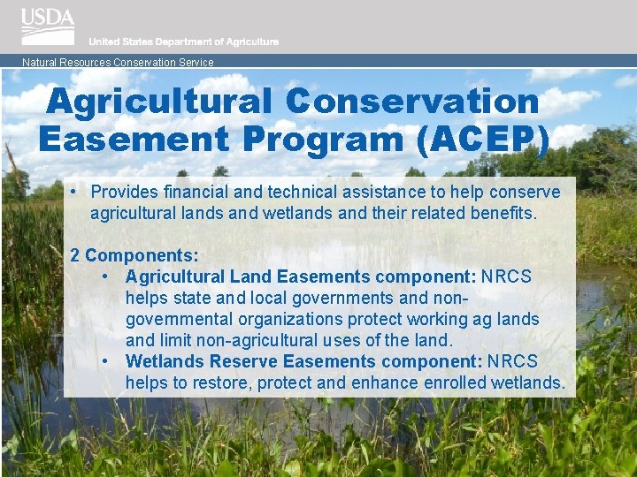 Natural Resources Conservation Service Agricultural Conservation Easement Program (ACEP) • Provides financial and technical