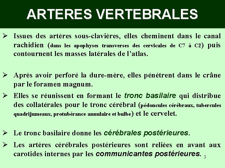 ARTERES VERTEBRALES Ø Issues des artères sous-clavières, elles cheminent dans le canal rachidien (dans