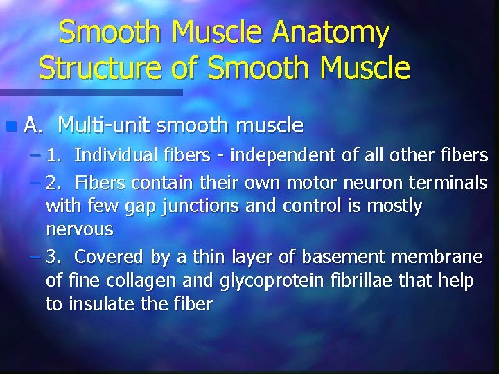 Smooth Muscle Anatomy Structure of Smooth Muscle n A. Multi-unit smooth muscle – 1.