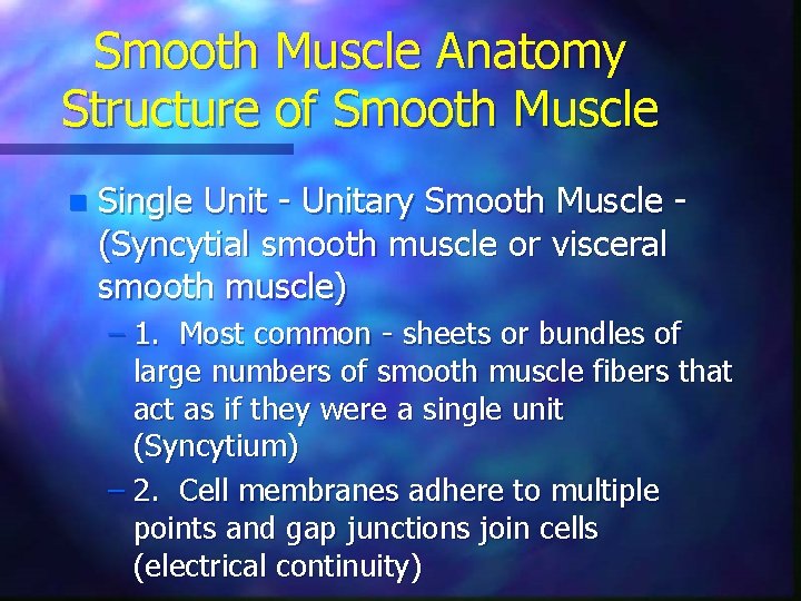 Smooth Muscle Anatomy Structure of Smooth Muscle n Single Unit - Unitary Smooth Muscle