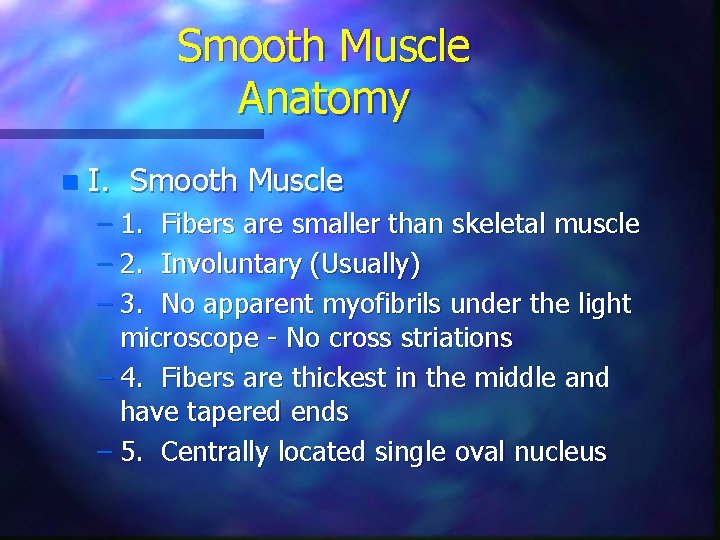 Smooth Muscle Anatomy n I. Smooth Muscle – 1. Fibers are smaller than skeletal