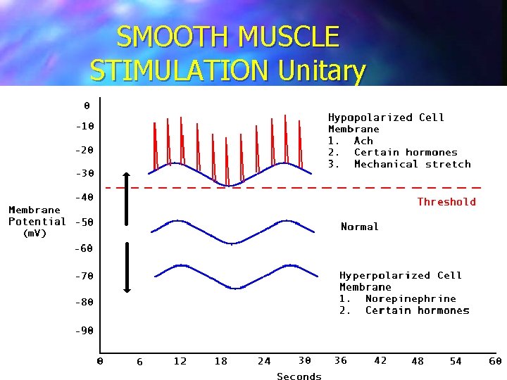 SMOOTH MUSCLE STIMULATION Unitary 